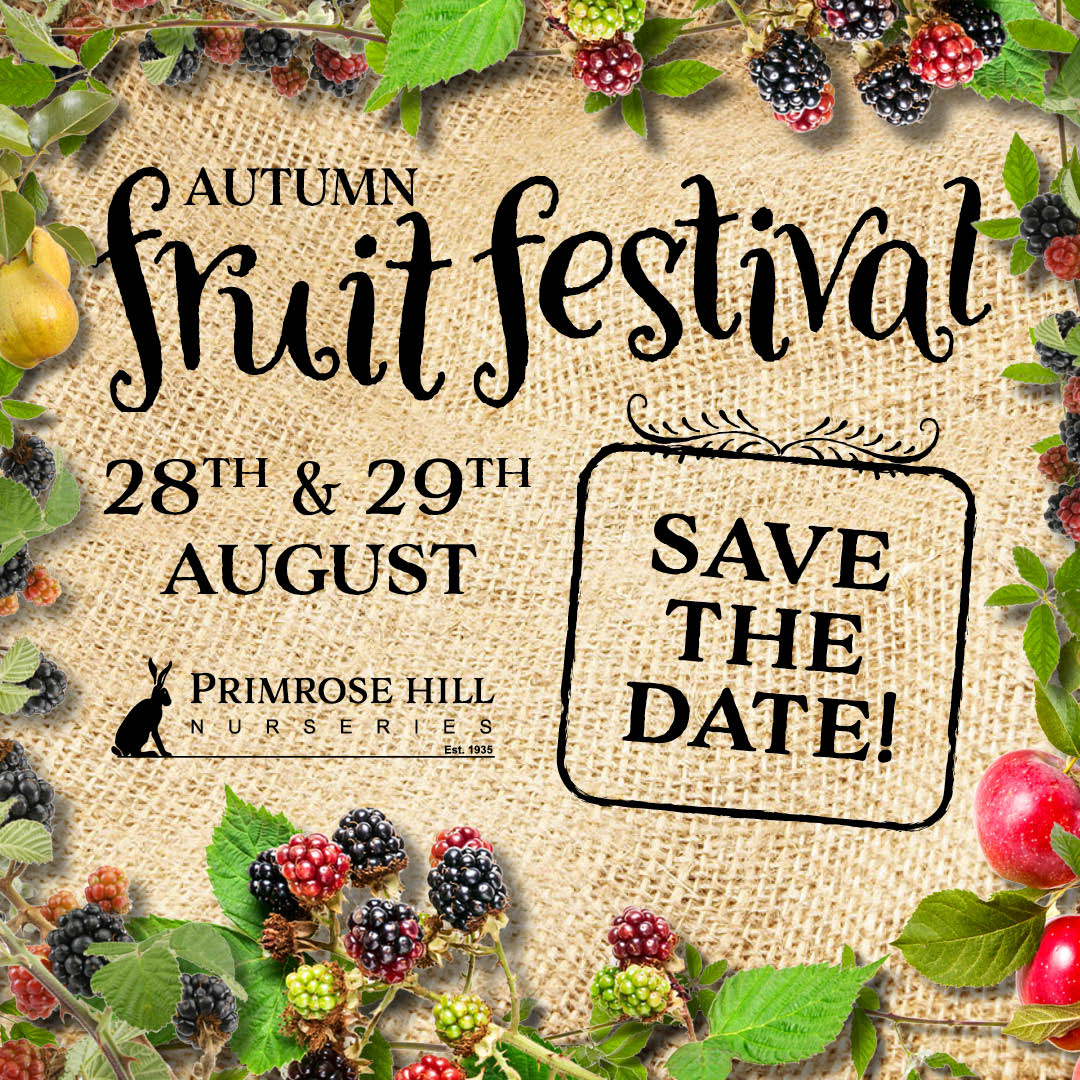 Autumn Fruit Festival at Primrose Hill Nursery lymm.uk